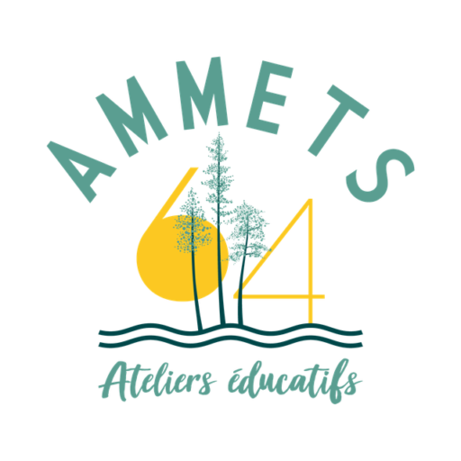 AMMETS64